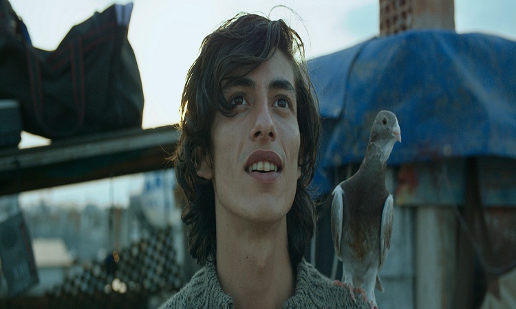 "Güvercin" filminden bir sahnede Yusuf ile güvercini Maverdi